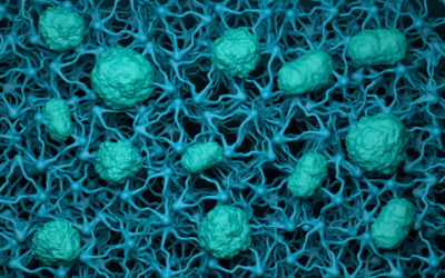 How Do Transwell and TEER Assays Help Us Understand Biological Barrier Function?