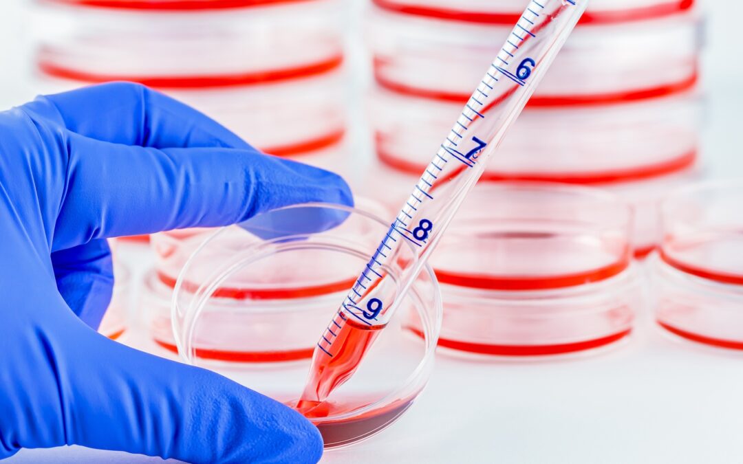 ECM-Based vs. ECM-Free? Choosing the Right Format for 2D and 3D Models