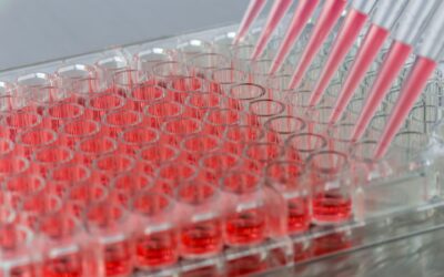 The Right Model at the Right Time for the Right Scientific Question